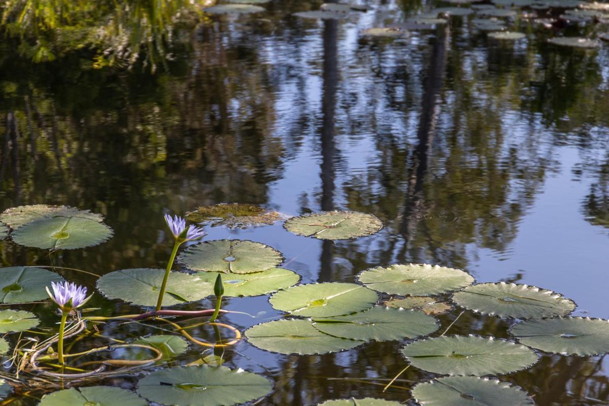 Lake Weyba Cottages Noosa Peregian Beach Luaran gambar