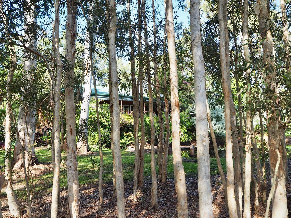Lake Weyba Cottages Noosa Peregian Beach Luaran gambar